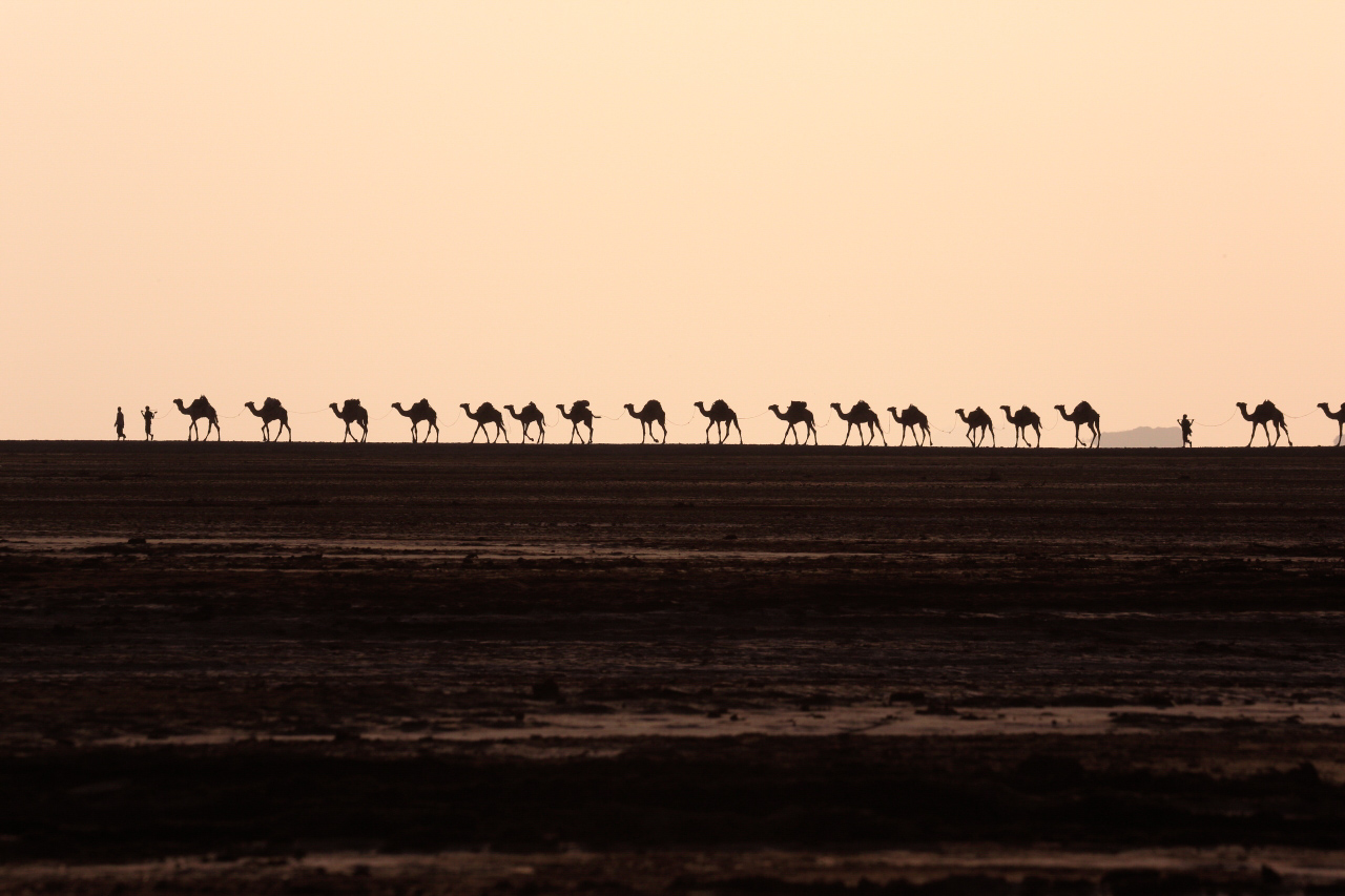 Danakil Depression Ethiopia tour Erta Ale volcano Dallol sulfur springs Afar desert adventure